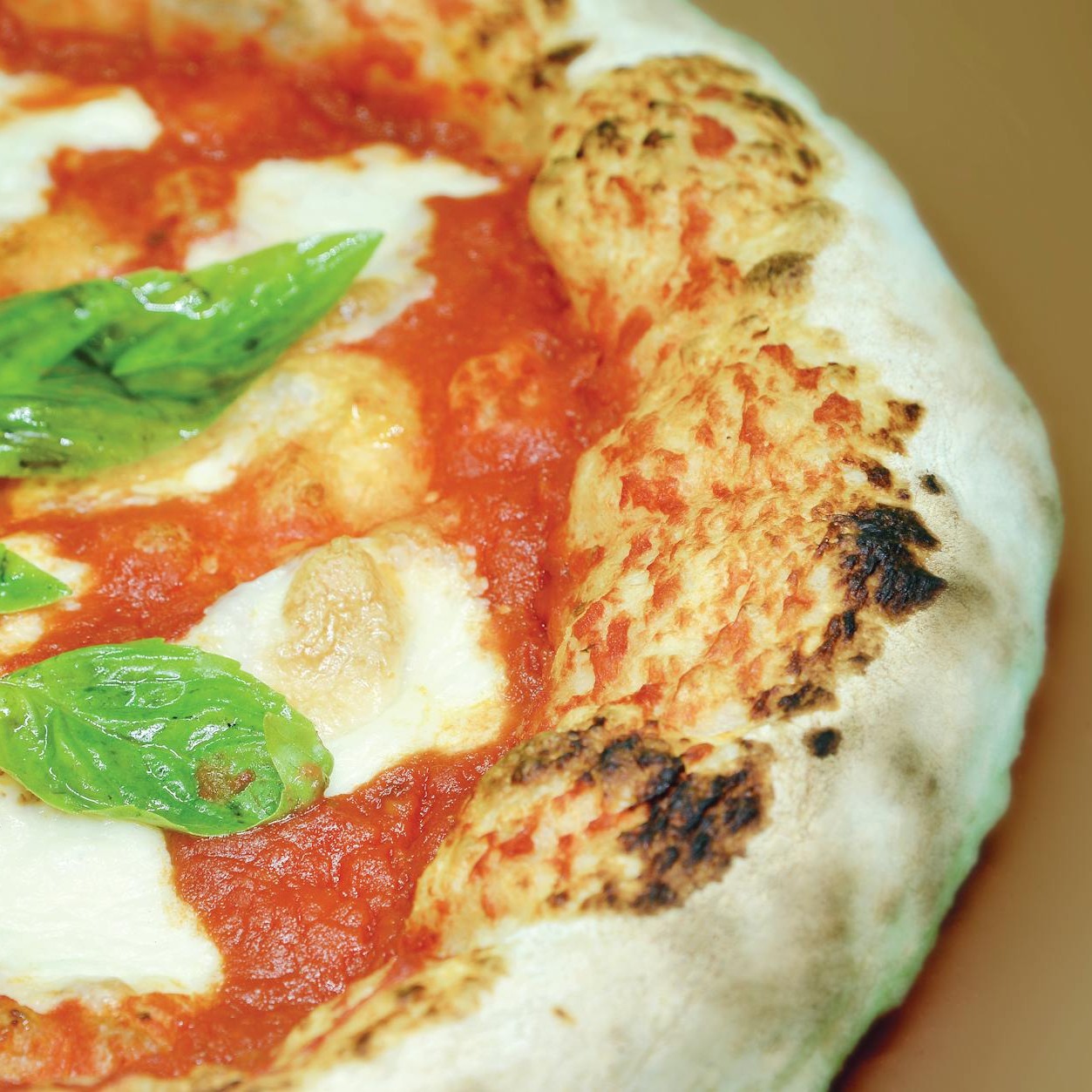 Pizza Margherita